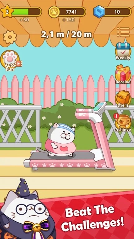 è�����ܿ��ٳ�̣�Cat Run  Kitty Rush��v0.3.4 ��׿��