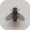 èè���(CatAlone)v5.1.12 ��׿��