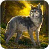 ����ģ����(The Wolf Simulator)v1.0.23 ��׿��