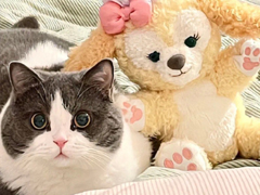 ��־С�ڵĸ������� ƽ�����ں�������