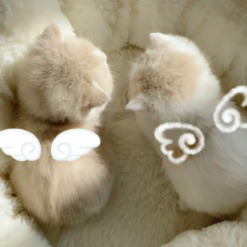 ����Ȧ���޿�ħ΢�ż���İ� ��̸߼�ɹ�޶̾�