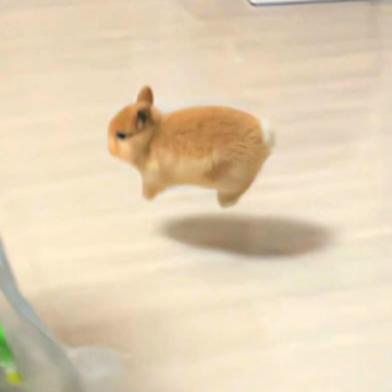 ����Ȧ���޿�ħ΢�ż���İ� ��̸߼�ɹ�޶̾�