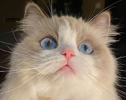 ����Ů��ǩ����̿ɰ� Ů���Ӽ���Ȥ��ǩ��