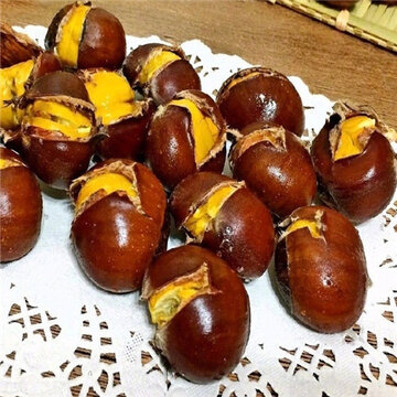 �＾����ʳ�����������ͼƬ �������ǳ����ӵ�ζ��
