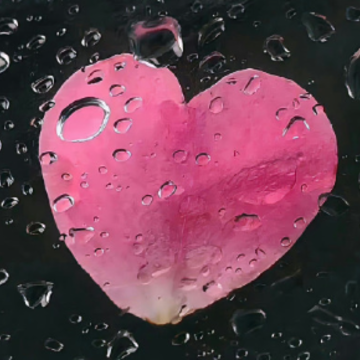 �����ǳ���ļ���˵˵ ���Ǹ�����ļ���˵˵