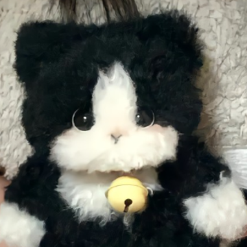 �в���˧���İ������� ��ѡ˧���ְ������ǳ�