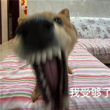 ���蹷��ˮӡ������� ƨ��ð�������
