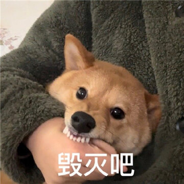 ���蹷��ˮӡ������� ƨ��ð�������