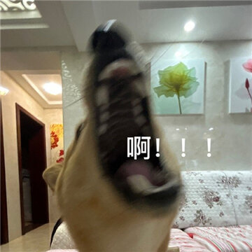 ���蹷��ˮӡ������� ƨ��ð�������