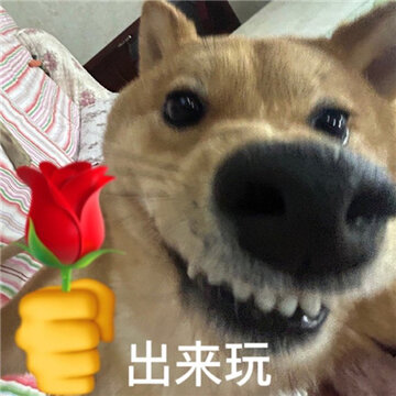 ���蹷��ˮӡ������� ƨ��ð�������