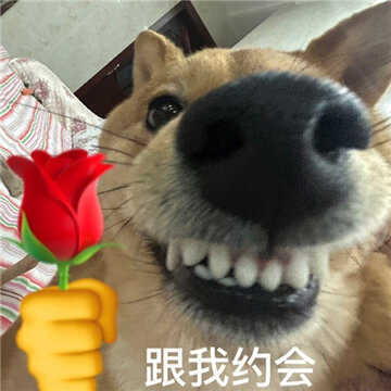 ���蹷��ˮӡ������� ƨ��ð�������