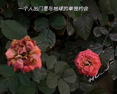 ������ĺ��۵�ǩ�� ���κ����鶼��Ե��ǩ��