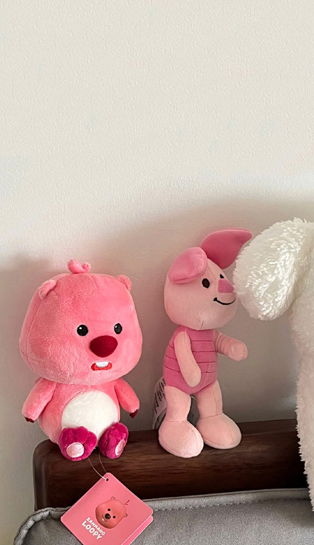����ϸ�ں���ins�еı�ֽ ����������Ϣ��ֽ