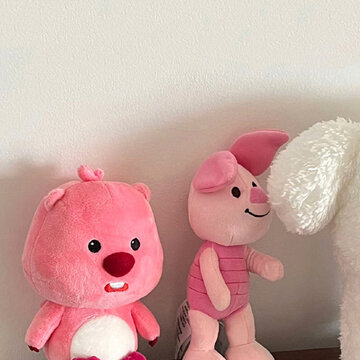 ����ϸ�ں���ins�еı�ֽ ����������Ϣ��ֽ
