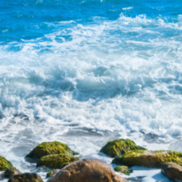 ��һ�ο����󺣵�����˵˵ ��һ�ο����İ����
