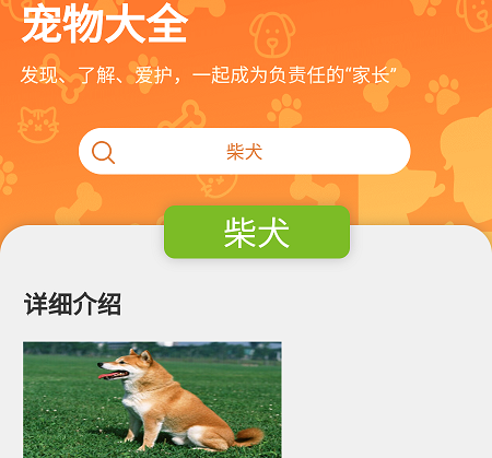 宠物点点 宠物点点
