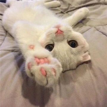 ins�еĺܱ��ص�ͼƬ�߼� �����˷��������ϵ۶���ԭ��