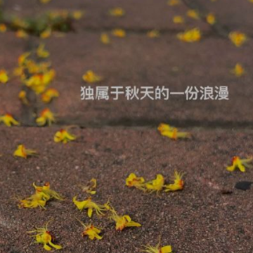 惊艳小众的秋季签名唯美 句句仙气喜欢秋季的签名 惊艳小众的秋季签名唯美 句句仙气喜欢秋季的签名