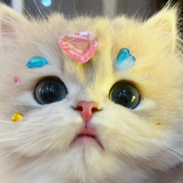 ����Ů�ϴ��ճ��ļ�������İ� Ů���ӷ�������ļ����¼