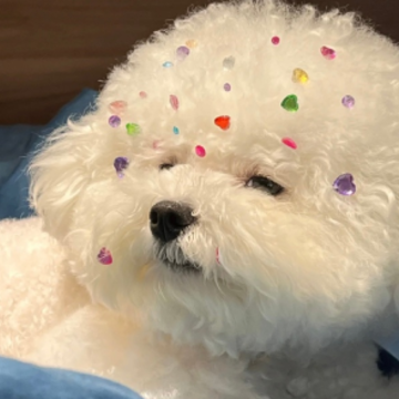 �뿪�Ĳ����ѹ���ǩ�� ������������ֻ�����쿪��