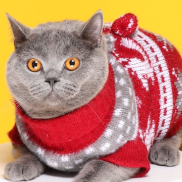 ɹ�������Ĭ˵˵���һ�� �����ճ��Ĳ�ʺ���İ�