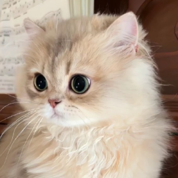 ������������ǩ�� �Ӵ˻��ø�����ǩ��