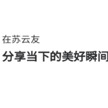苏云友 苏云友