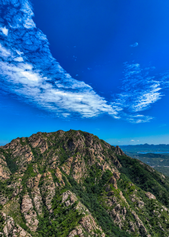 龙e家 龙e家