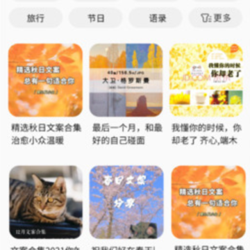 好文案 好文案