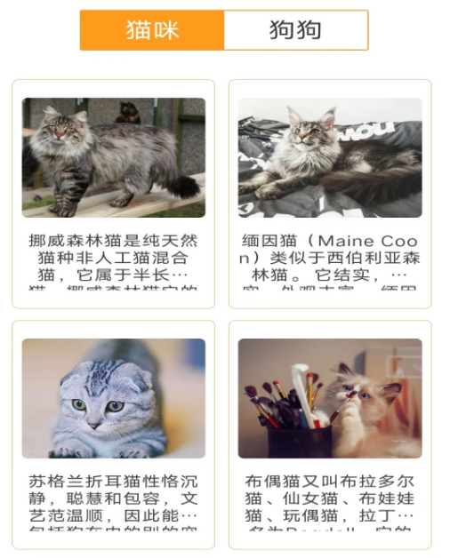 萌宠点点 萌宠点点