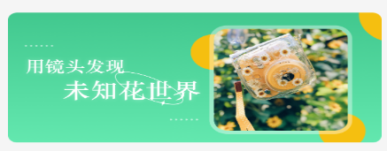 拍照识别植物弛意版app 拍照识别植物弛意版app