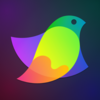 pocket�滭��ʦv1.1.0 ��׿��