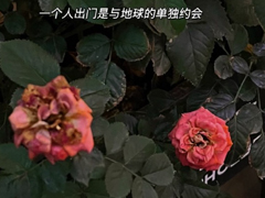 ������ĺ��۵�ǩ�� ���κ����鶼��Ե��ǩ��