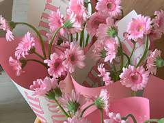�̺ܾܶ��޵�ǩ�� ��̵�ǩ����������
