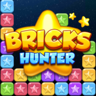 ľ(Bricks Hunter)v1.0.4 ׿