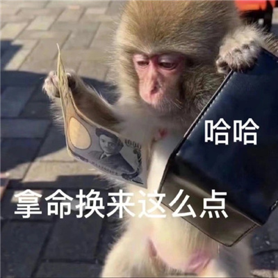 ��ЦŮ���������ܺ��ñ��� �ʺϸ�ЦŮ�õĿ��ֱ���