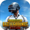 pubgԽ�Ϸ�obb���ݰ�(PUBG MOBILE)v2.8.0 ��׿��