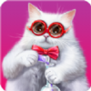 �ʼ�è��(Royal Cats)v1.03.983 ��׿��