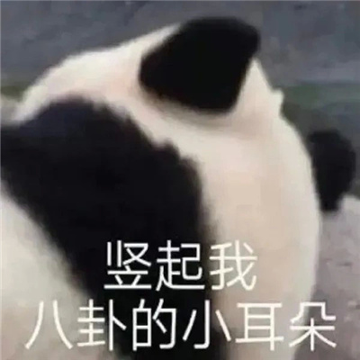 ���������˵İ��ñ��� �����Ұ��Ե�С����