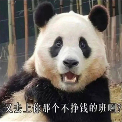 国宝大熊猫微信恶搞表情包 又去上你那个不挣钱的班啊