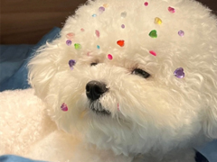 �뿪�Ĳ����ѹ���ǩ�� ������������ֻ�����쿪��