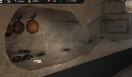 ����ģ���������޸�����v2.0.0 ������