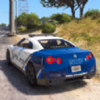 �ִ���ʻ����(NYPD Car Games Driving Test 3D)v0.1 ��׿��