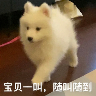 �ɰ�����ͷ��ɳ����� ����һ������浽