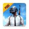��������С���ӹ��ʰ������(PUBG MOBILE)v2.8.0 ��׿��