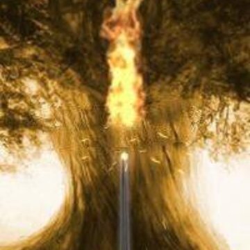 法术书的魔棒Spell Book For Magic Wand 法术书的魔棒Spell Book For Magic Wand