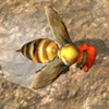 蜂巢模拟器3d(Bee Nest Simulation 3D)v1.0.1 安卓版