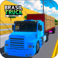 䳵(Brasil Truck Simulador)v0.0.1 ׿