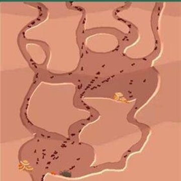 蚂蚁地下王国模拟器The Ants 蚂蚁地下王国模拟器The Ants