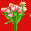 �������v1.2.21 ��׿��